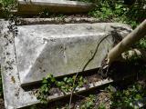 image of grave number 689422
